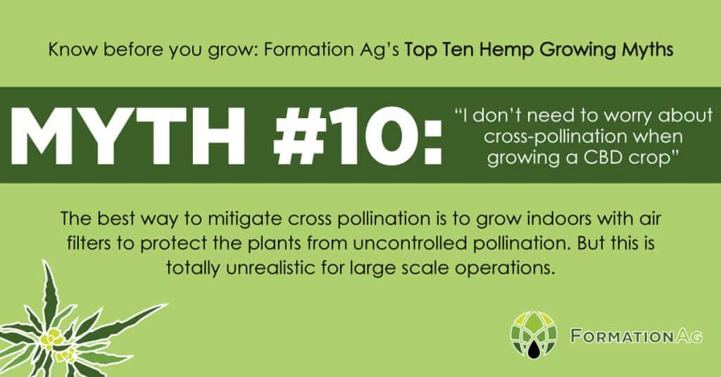 Myth #10: “I don’t need to be worried about cross-pollination when growing a CBD crop”