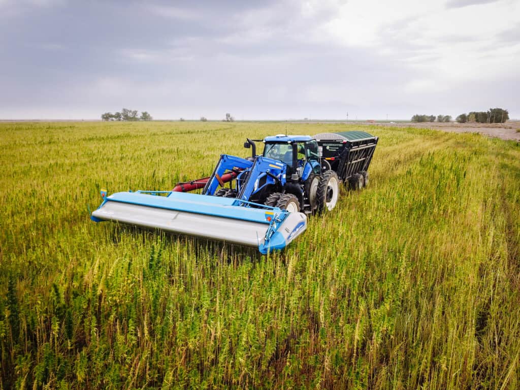 CleanStrip Harvester